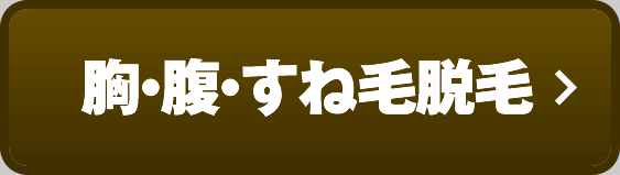 胸・腹・すね毛脱毛
