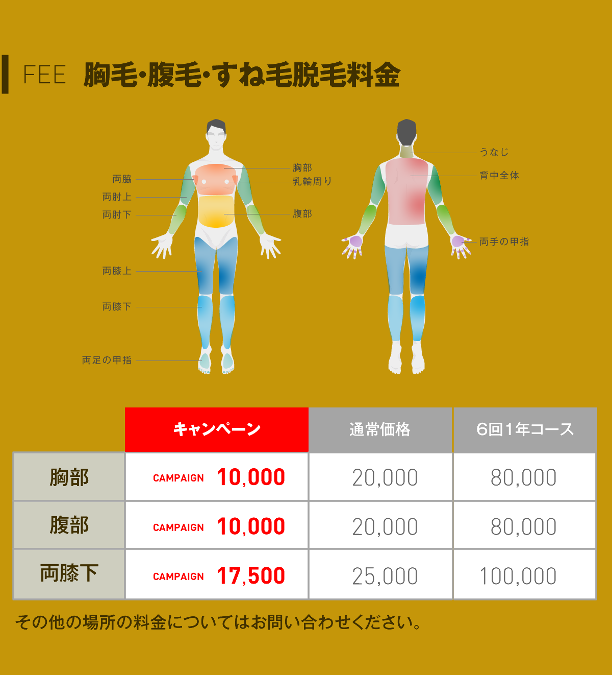 胸毛・腹毛・すね毛脱毛料金